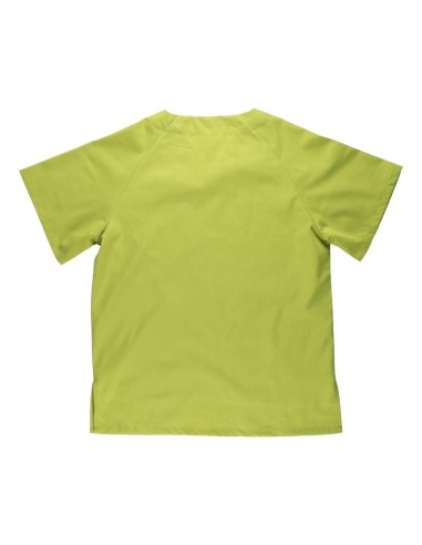  Conjunto servicios verde manzana