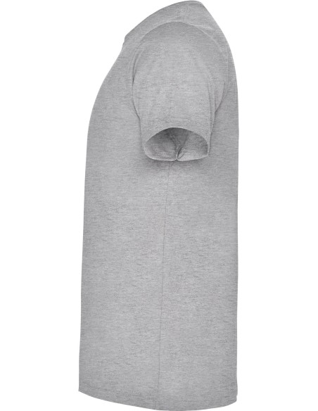  Camiseta DOGO PREMIUM 165 gr de Roly gris vigore