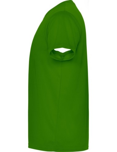  Camiseta CAMIMERA Roly verde helecho