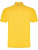Polo Austral