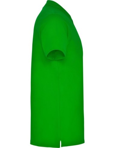  Polo STAR Roly verde grass