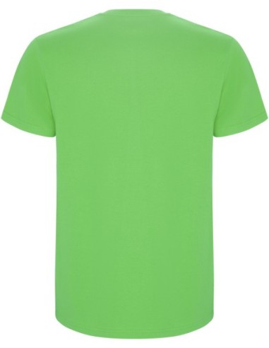  Camiseta STAFFORD Roly verde oasis