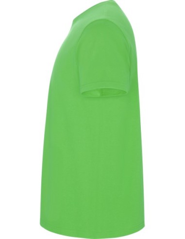  Camiseta STAFFORD Roly verde oasis