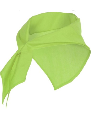  Pañuelo JARANERO Roly verde mantis