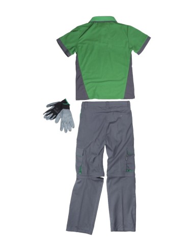  Conjunto básicos gris verde