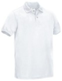 Polo m/c Tamesis