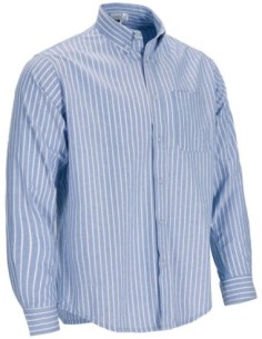 Camisa de rayas Agency manga larga en tejido Oxford 2